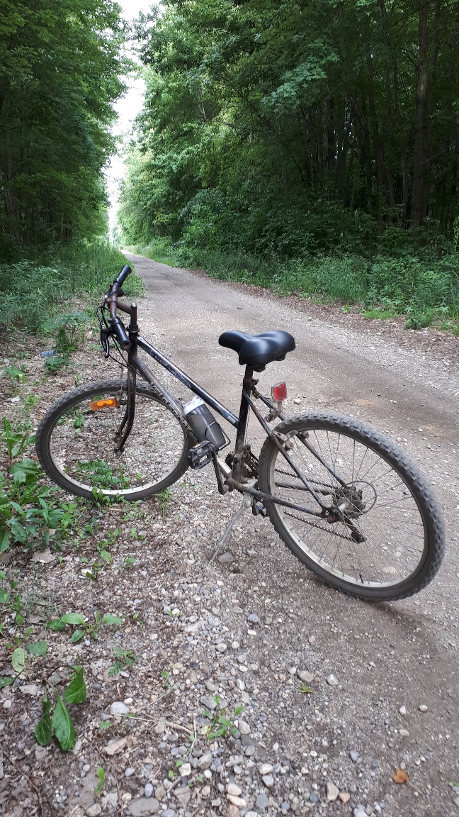 bike parked on straight gravel path with green trees and grass on each side