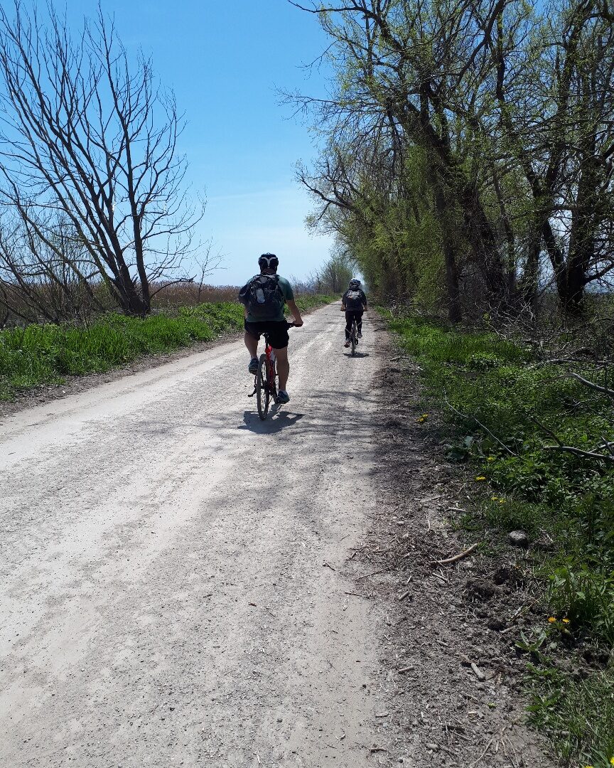 Back Road Cycling tours and clinics in southwestern Ontario often include routes along groomed rail trails which is shown here with two riders on the Erieau March Trail